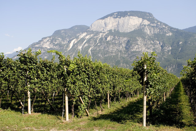 Castelfeder_Dolomites