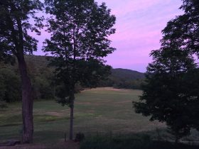 View from the deck, July 2016