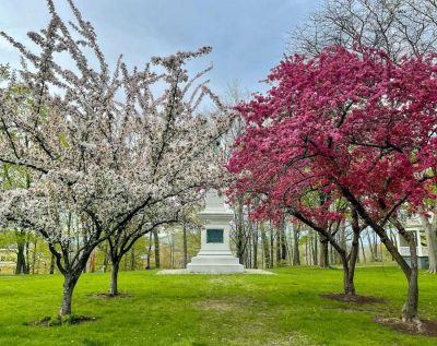 Crabapple May 2021