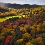 Autumn Guilford from Above