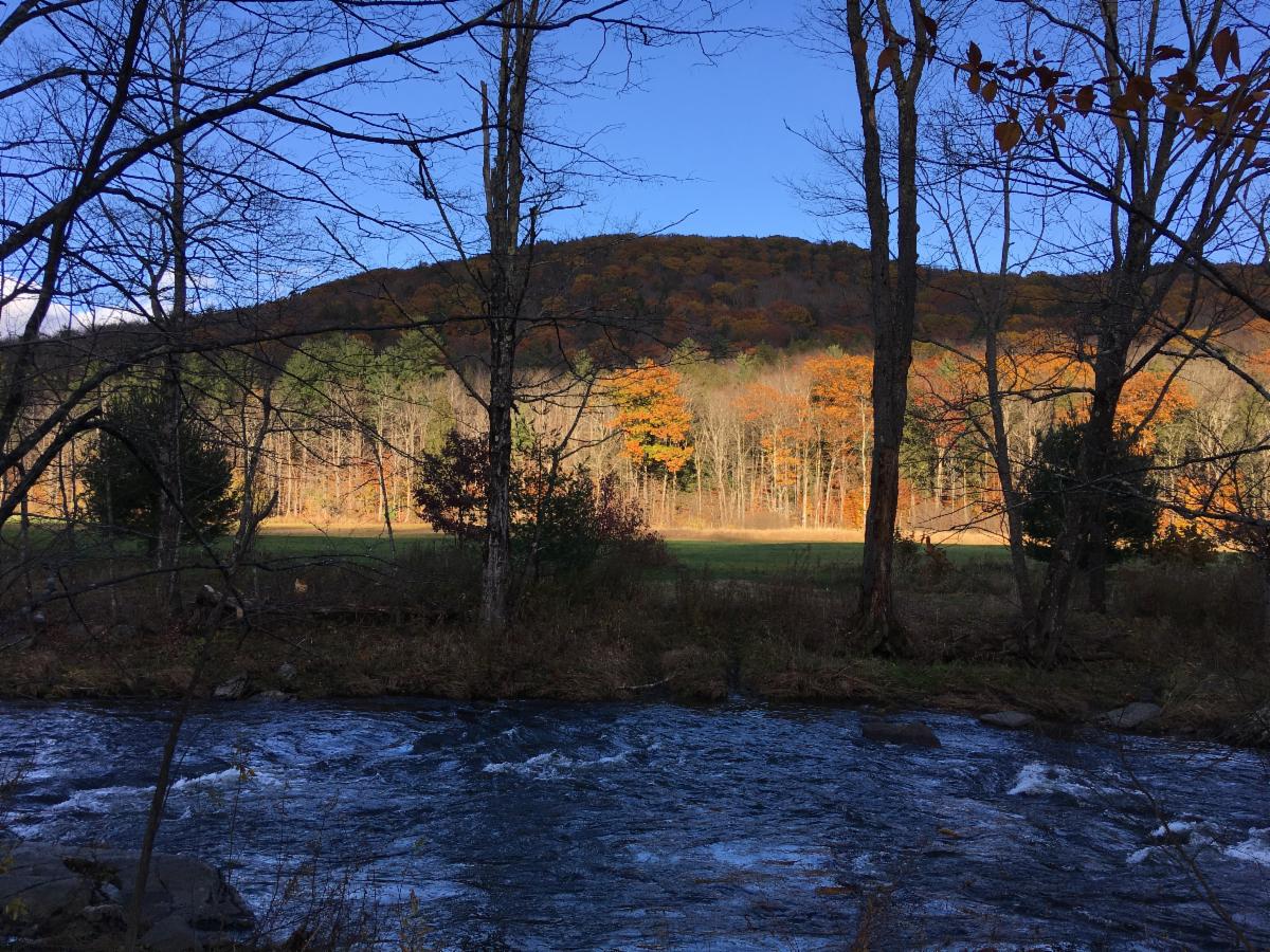 Late Afternoon Sun November