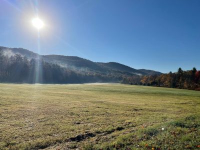 Meadow Sunrise