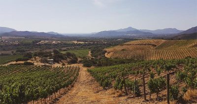 Sardinia - Cardedi