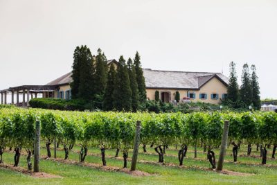 Wolfer Estate